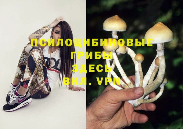 COCAINE Ладушкин