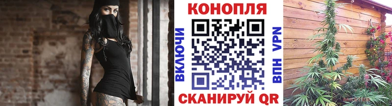 Каннабис индика  Купить  Шумерля 